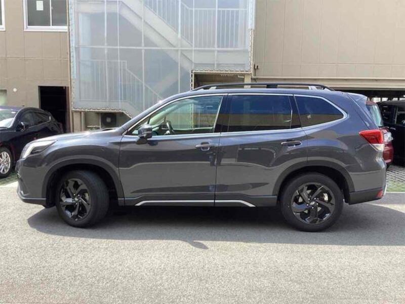 FORESTER
