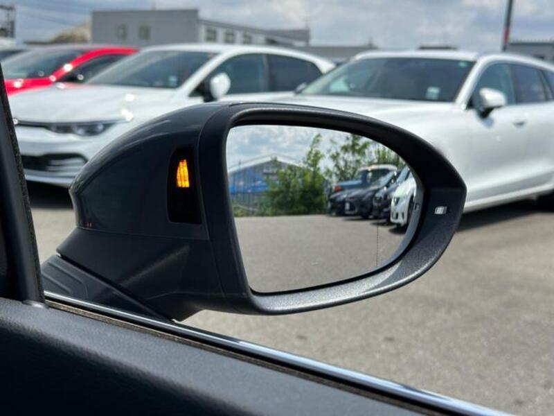 GOLF VARIANT