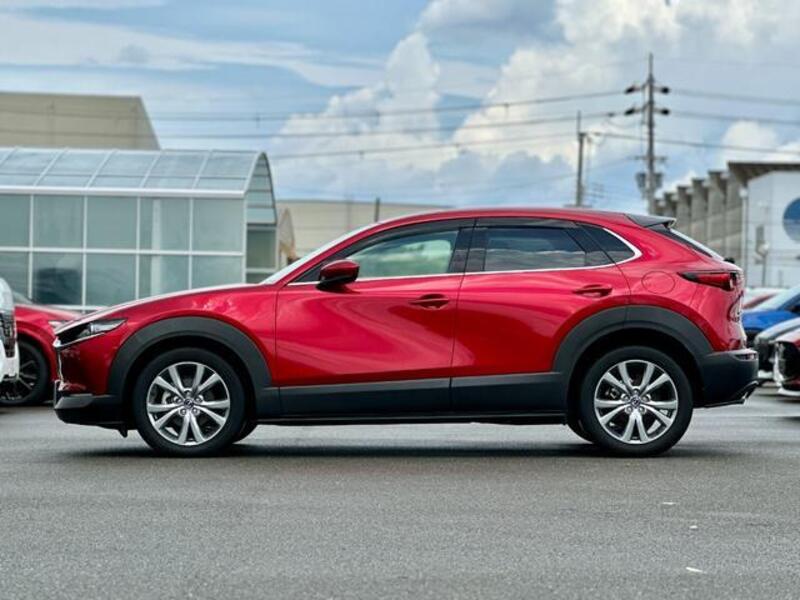 CX-30