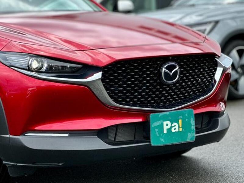 CX-30