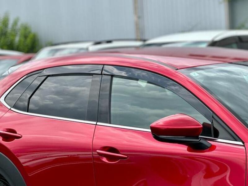 CX-30