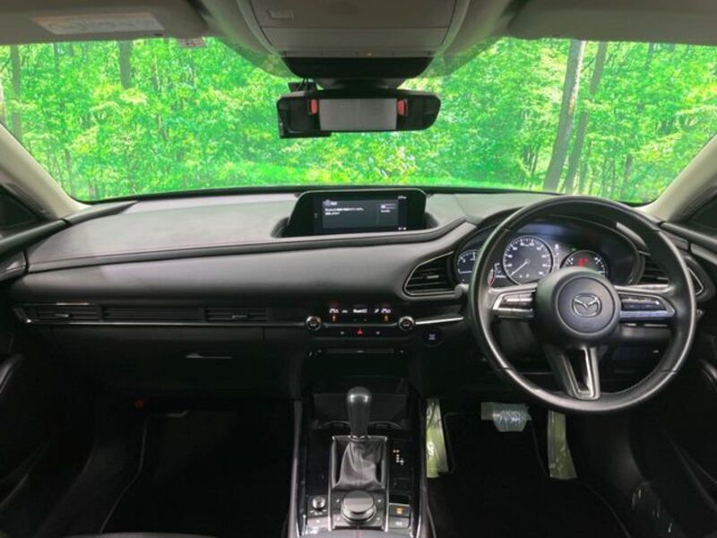 CX-30