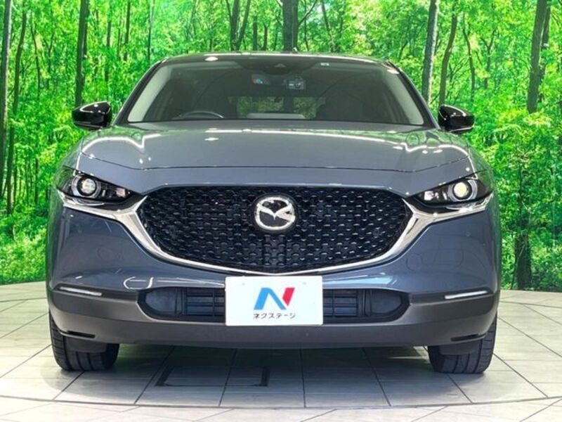 CX-30