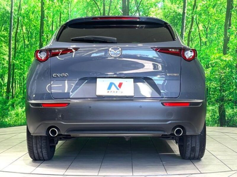 CX-30