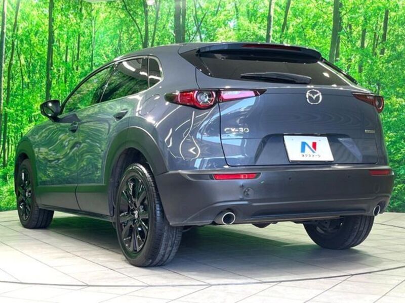CX-30