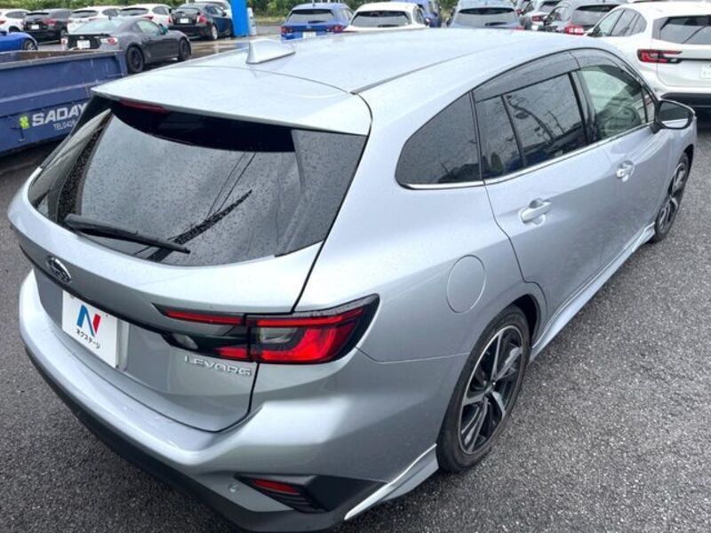 LEVORG