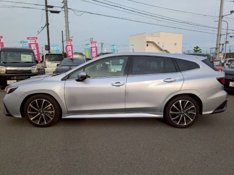 LEVORG