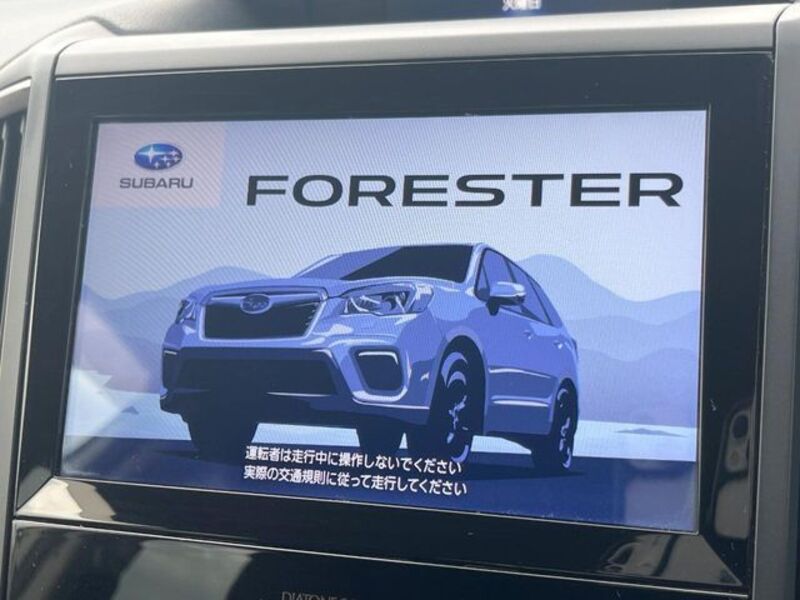 FORESTER