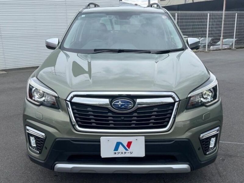 FORESTER