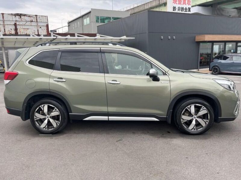 FORESTER