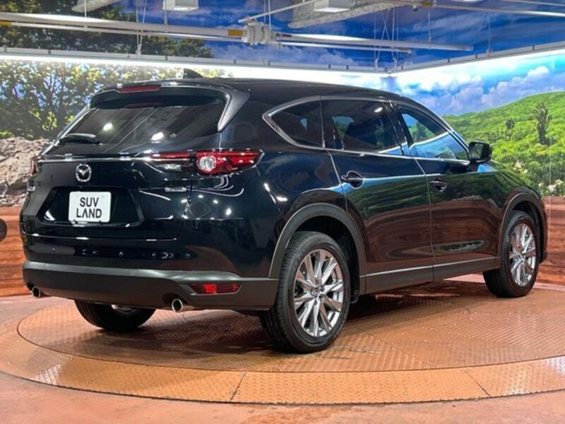 CX-8