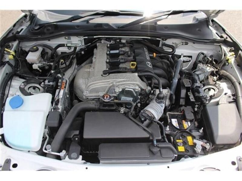 ROADSTER RF