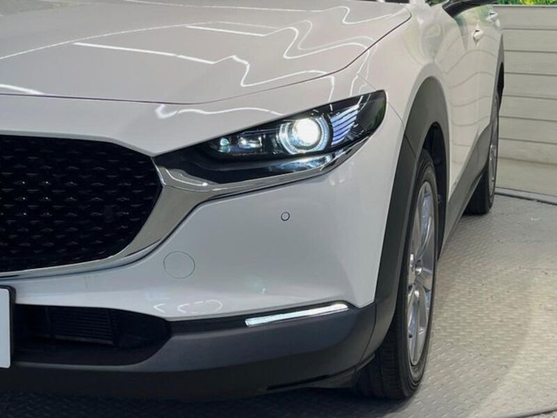 CX-30