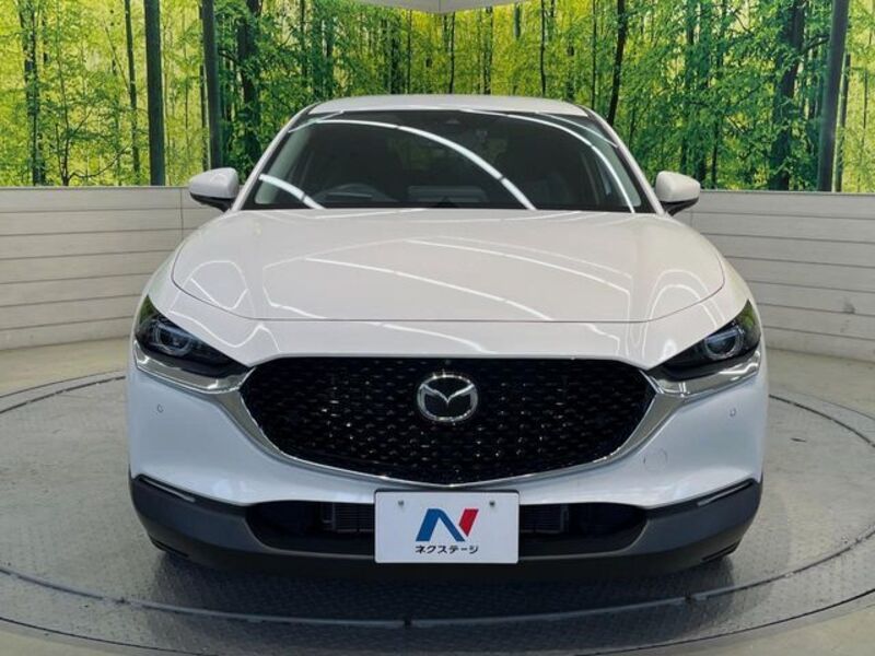 CX-30