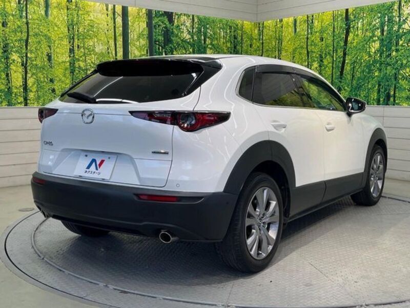 CX-30
