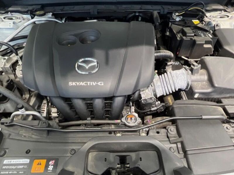 CX-30