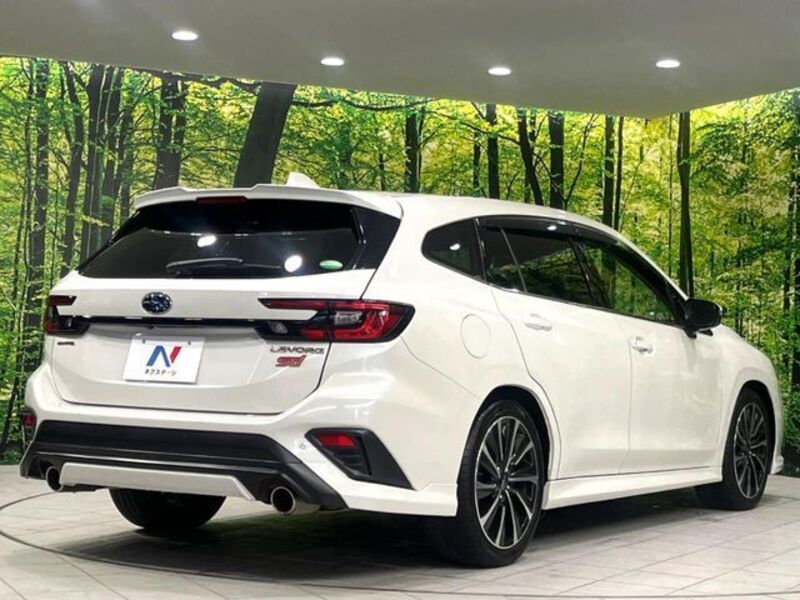 LEVORG