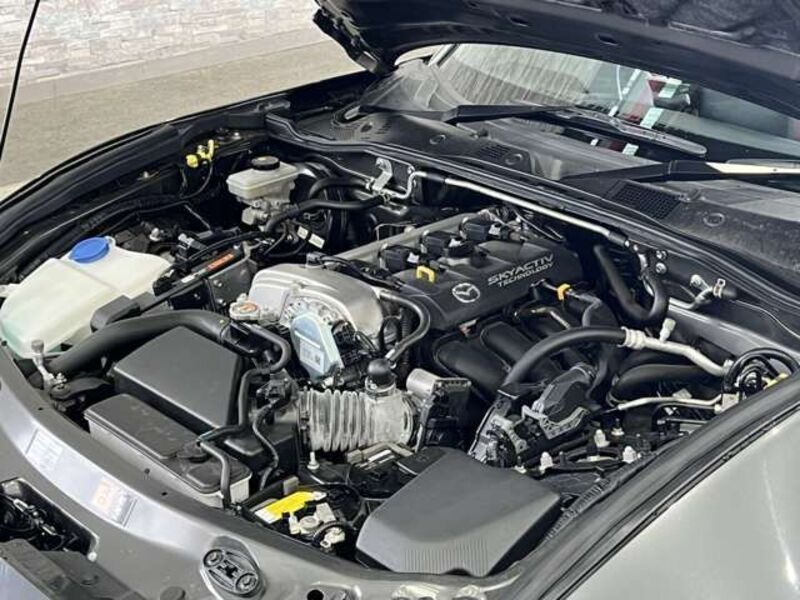 ROADSTER RF