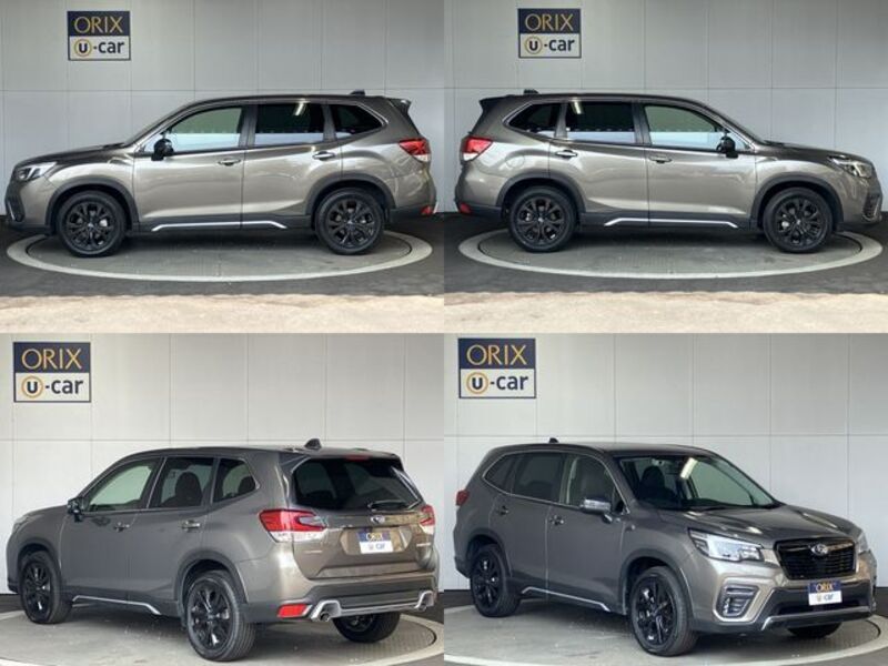 FORESTER
