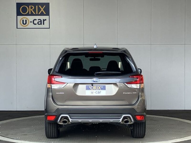 FORESTER