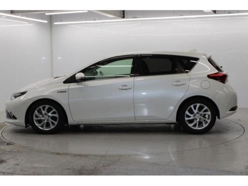 AURIS HYBRID