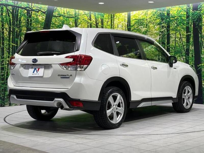 FORESTER