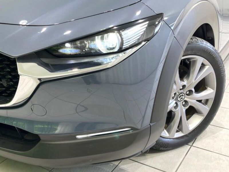 CX-30