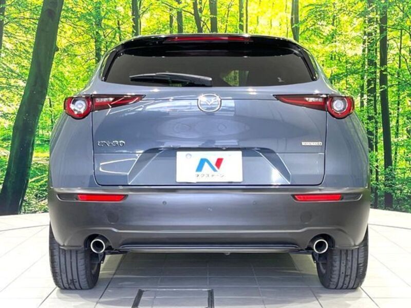 CX-30
