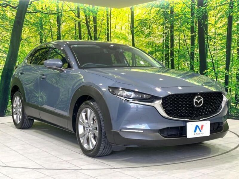 CX-30