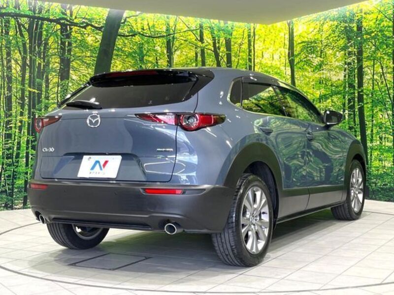 CX-30