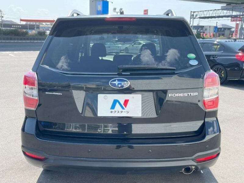 FORESTER