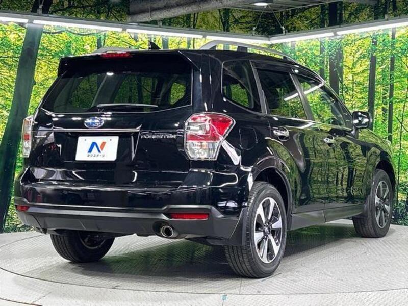FORESTER