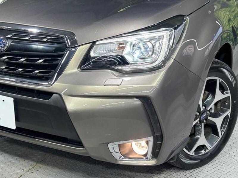 FORESTER