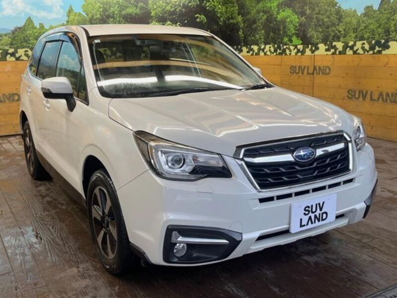 FORESTER