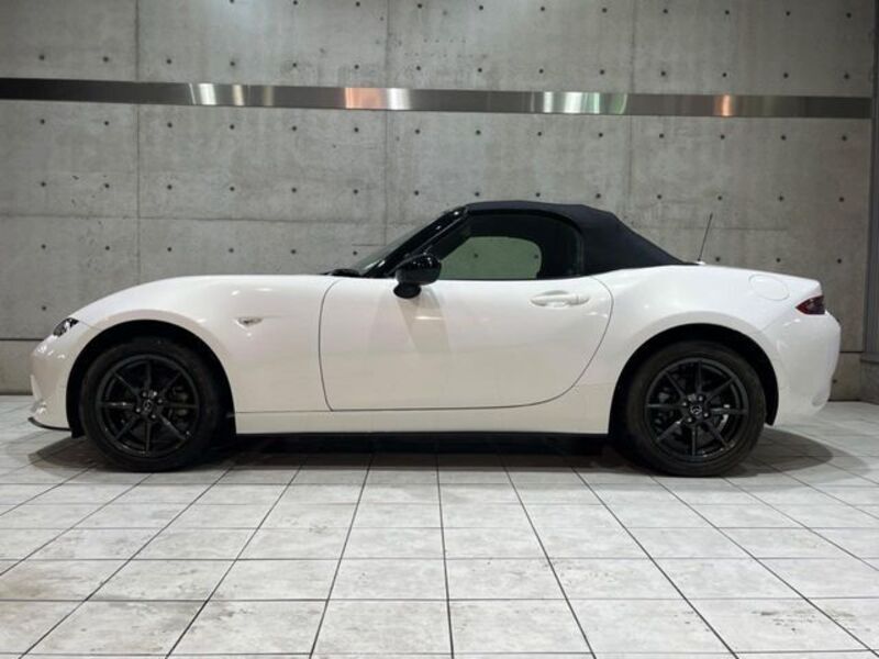 ROADSTER