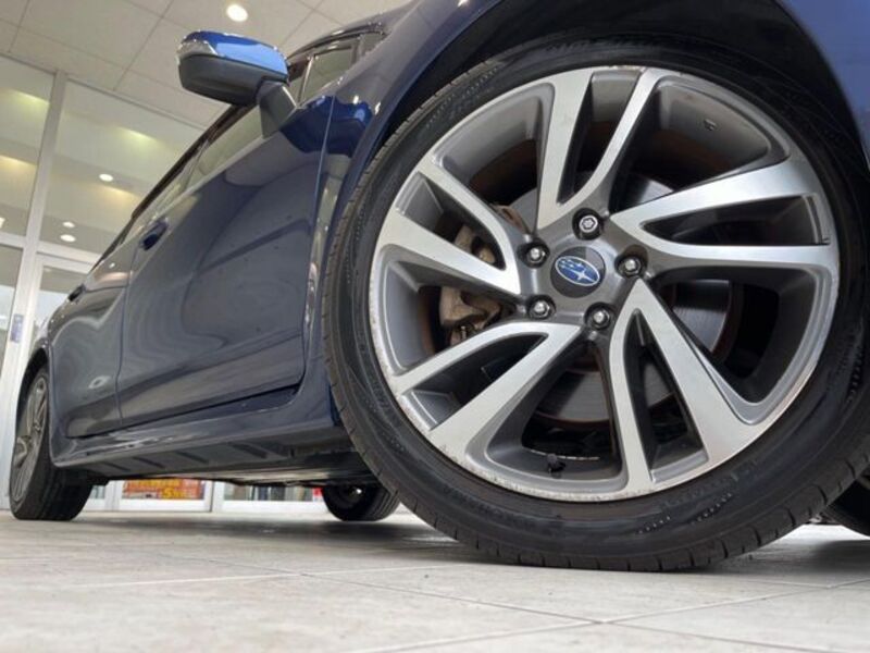 LEVORG