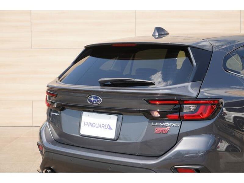 LEVORG