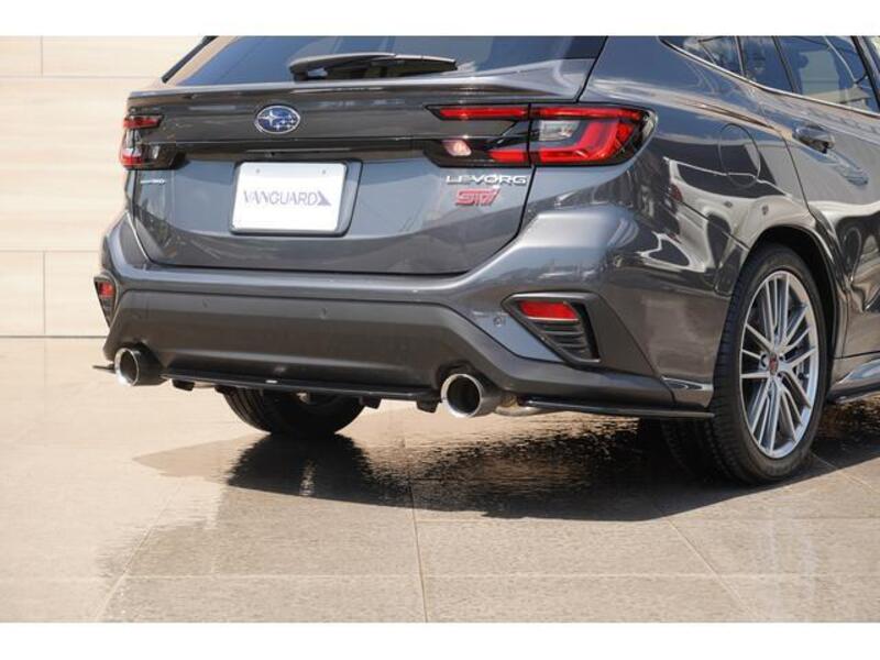 LEVORG
