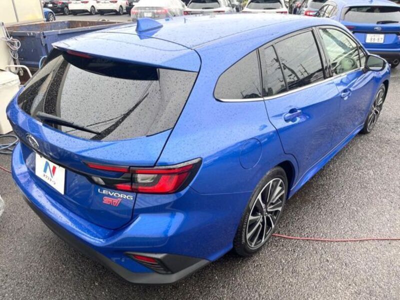 LEVORG