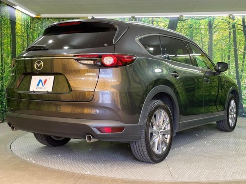 CX-8
