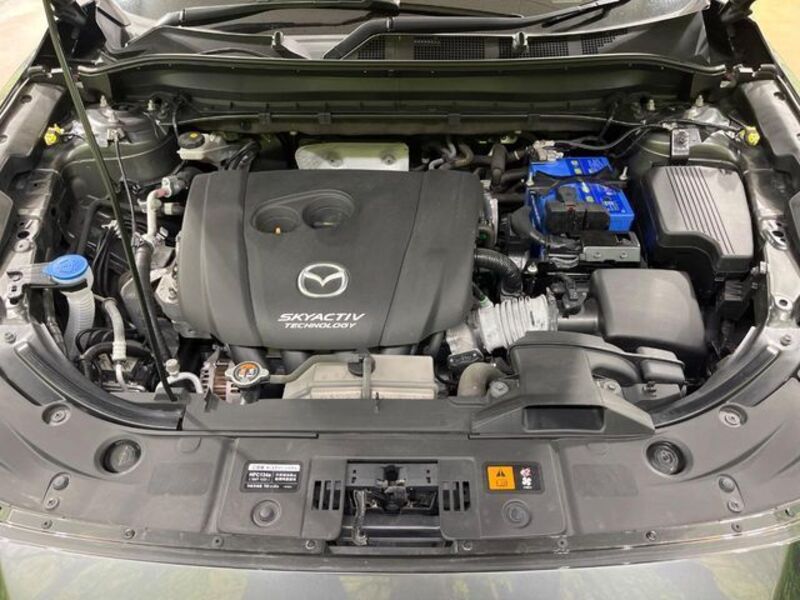 CX-8