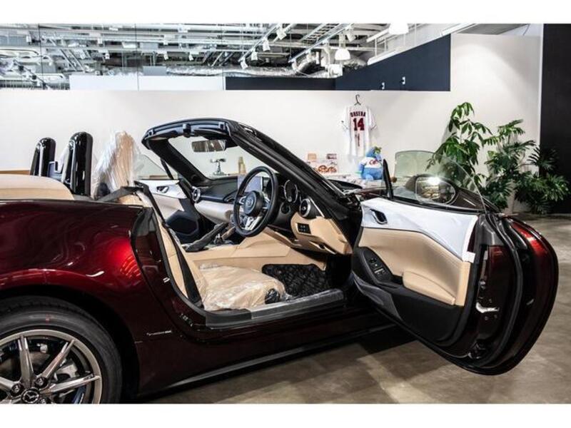 ROADSTER