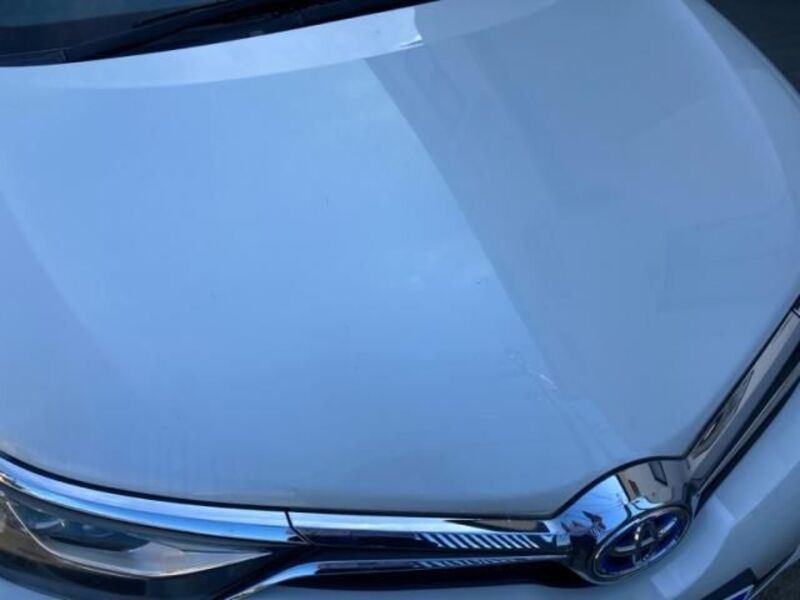AURIS HYBRID