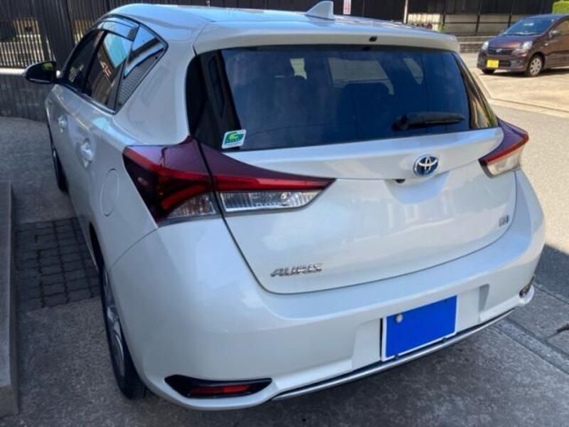 AURIS HYBRID