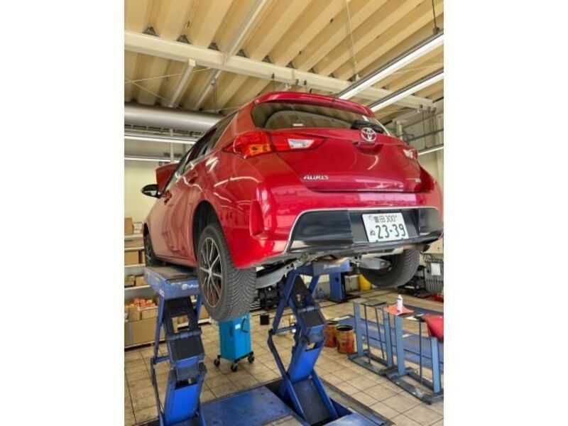AURIS