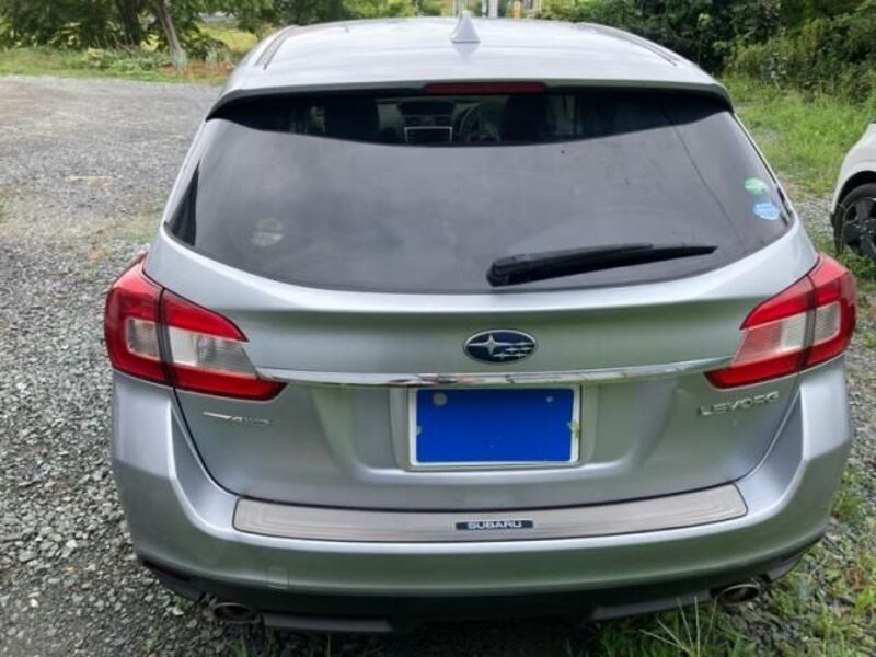 LEVORG