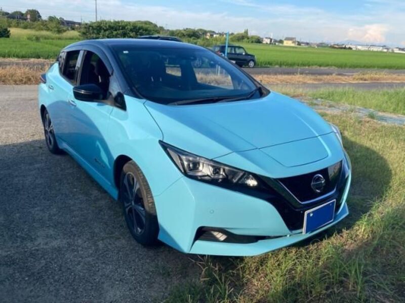 LEAF-0