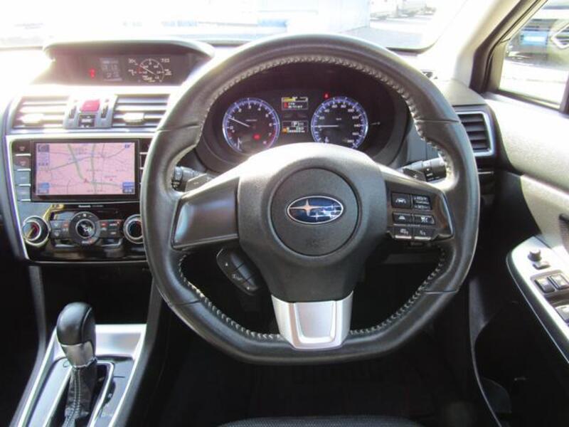 LEVORG