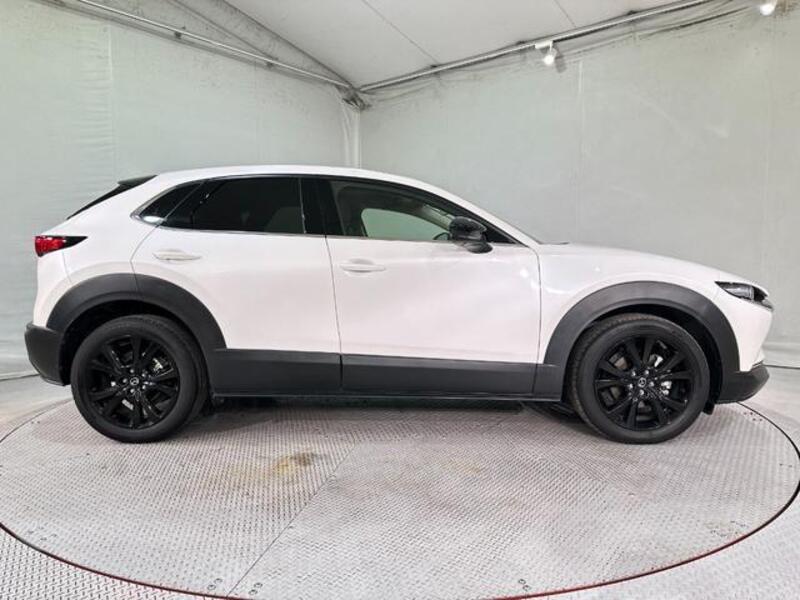 CX-30