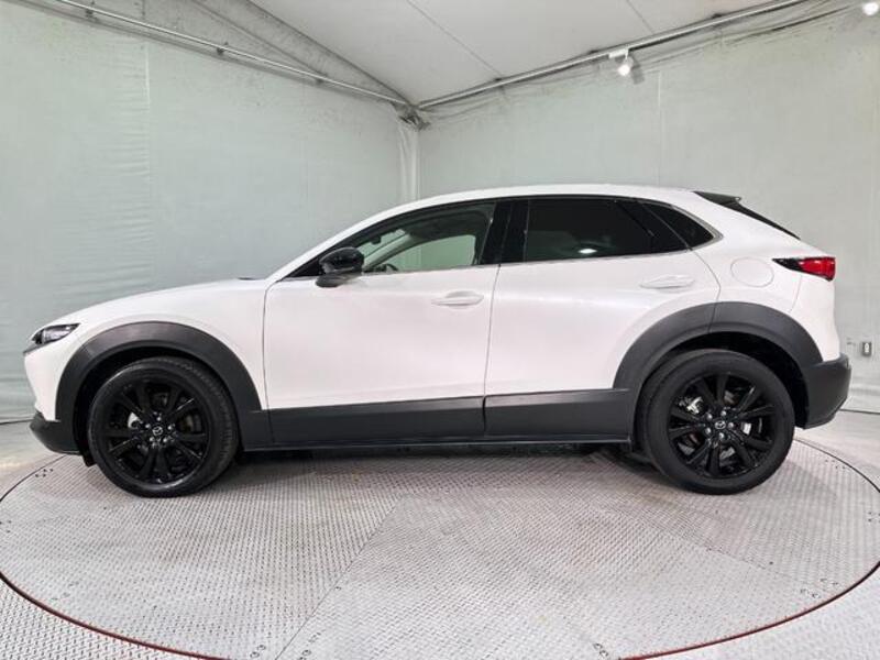 CX-30